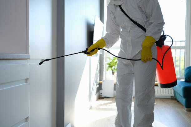 Best Mold Remediation for Specific Building Types in Ricardo, TX
